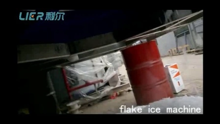 Système de machine à glace en flocons à haute efficacité énergétique 20 tonnes du fabricant ISO9001 pour la pêche aquatique